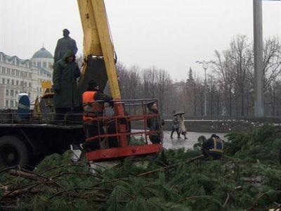 В Донецке из тысячи маленьких соберут одну большую елку