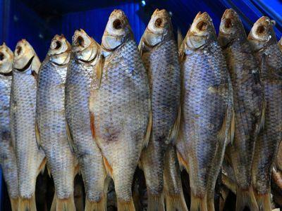 Экологи изъяли более тонны рыбы ценных пород