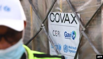         COVAX