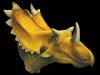 Kosmoceratops richardsoni