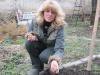 Дончанка Ольга Пархомчук высаживает свой картофель в гряды: «Это ранний сорт, поэтому раскладывать клубни можно погуще, через 18-20 см».  