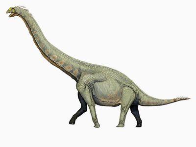 Некоторые динозавры могли высоко поднимать голову
