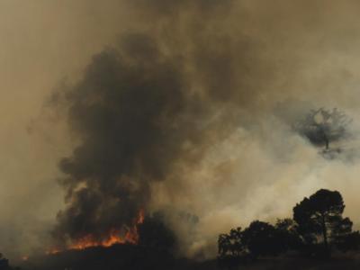Из-за гигантского пожара люди задыхаются в дыму и бегут из города (ВИДЕО)