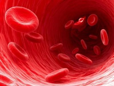 Ученые установили самую "нездоровую" группу крови