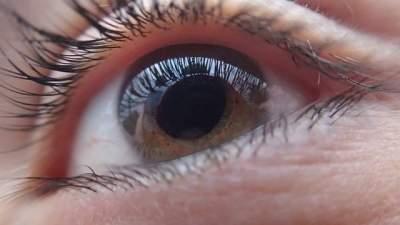 Google предсказывает болезни сердца по сетчатке глаза