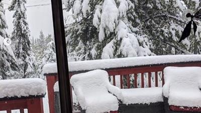 В Канаде выпало 30 сантиметров снега