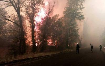 Три человека погибли в результате лесных пожаров на Луганщине