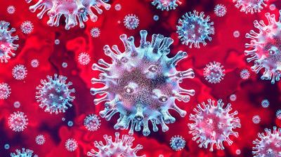 В ОРЛО ввели новые коронавирусные ограничения