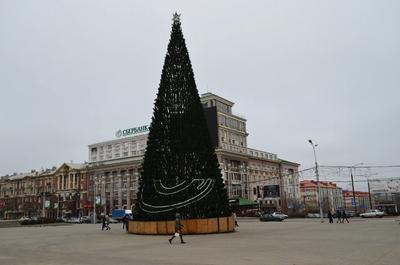 В Донецке закончили сборку "главной елки республики"