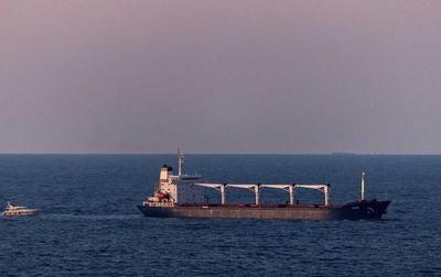 Первое судно с зерном из Украины прибыло в Турцию (ВИДЕО)